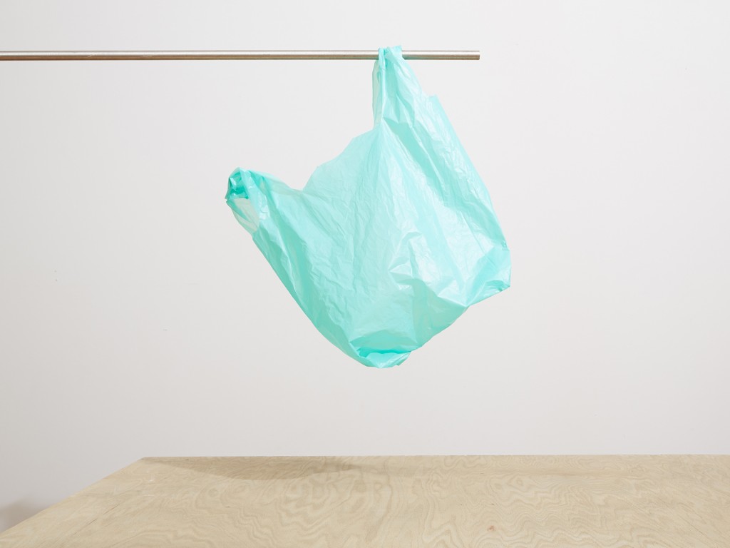 'Bag' © Bill Durgin