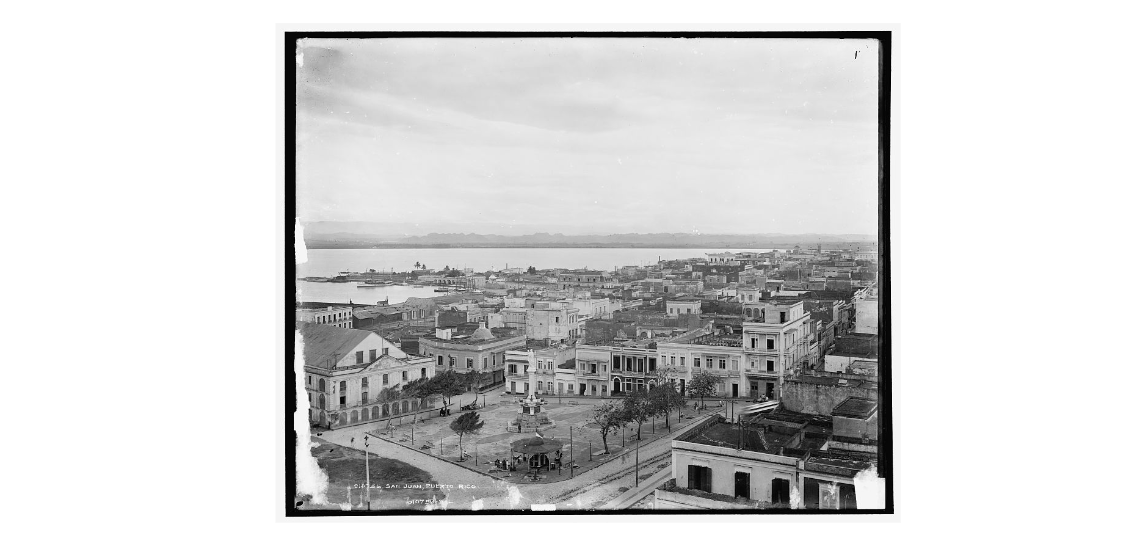 The Cats of Old San Juan