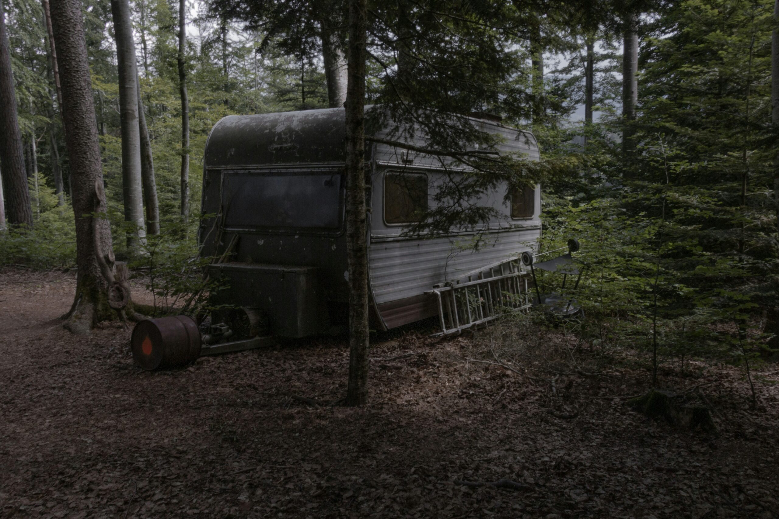 image of a run-down trailer in a clearing in the woods